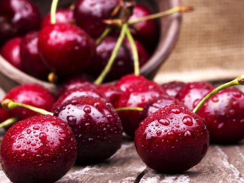 Вишня купить саженцы из питомника в Махачкале